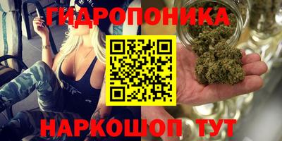 МДПВ Кунгур