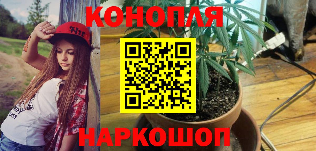 Марихуана OG Kush  Канабис THC 21%  Советск  Вход с VPN  Шишки марихуана OG Kush  Бошки марихуана OG Kush 